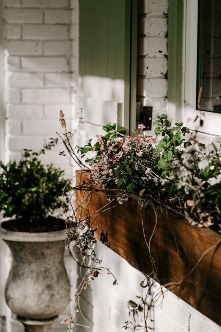 front yard ideas on a budget