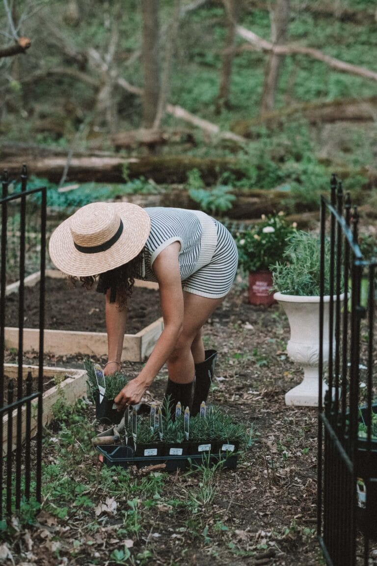 creating our potager garden