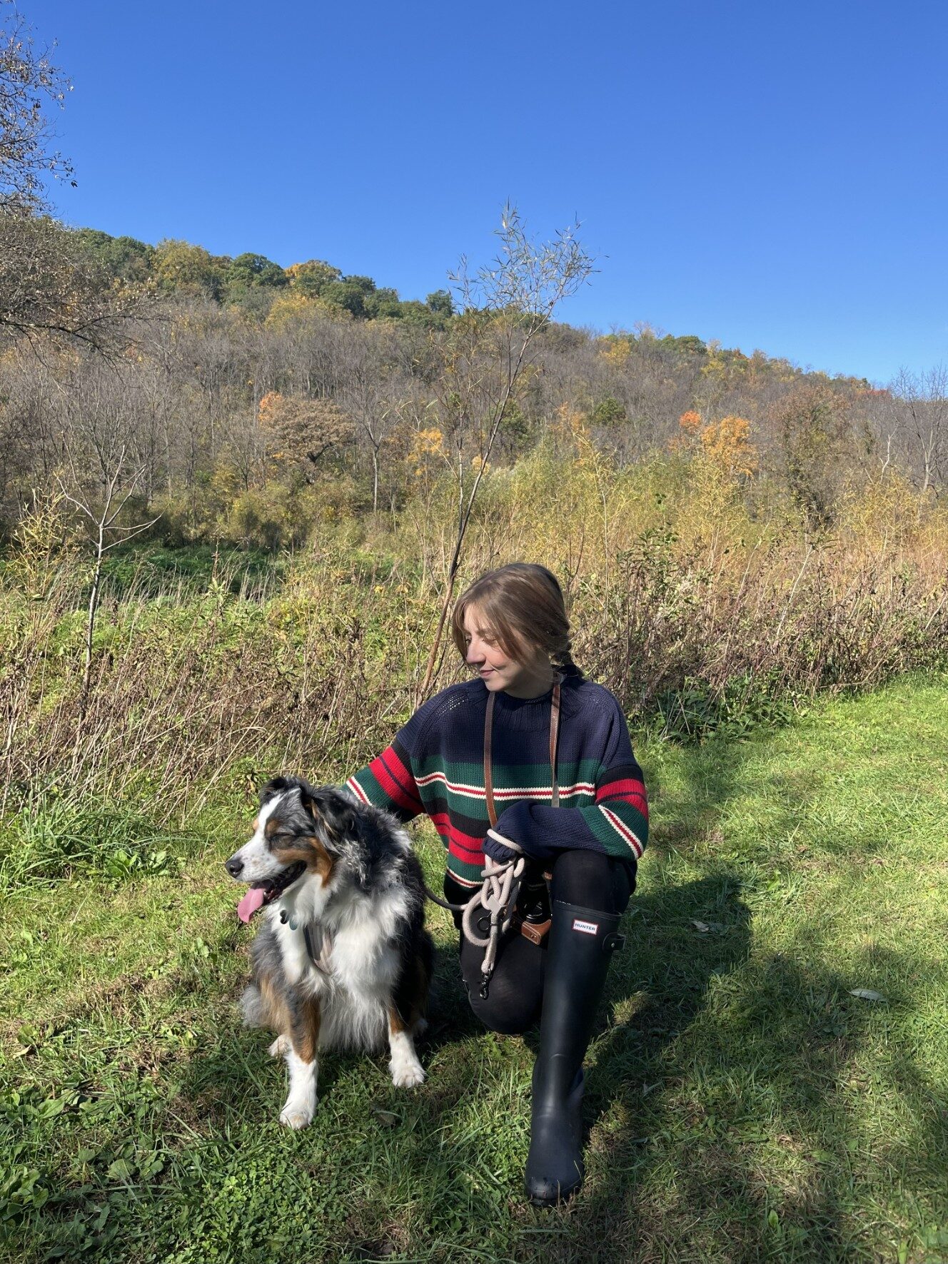 j.crew 2025 rollneck sweater