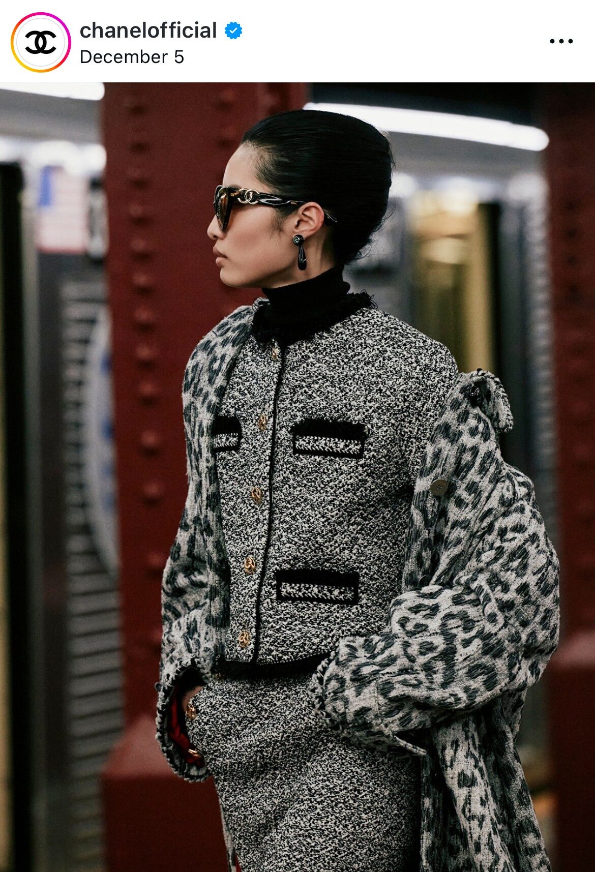animal print